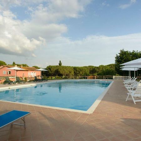 Agriturismo Colle Al Sole Apartment Castiglione del Lago Ngoại thất bức ảnh
