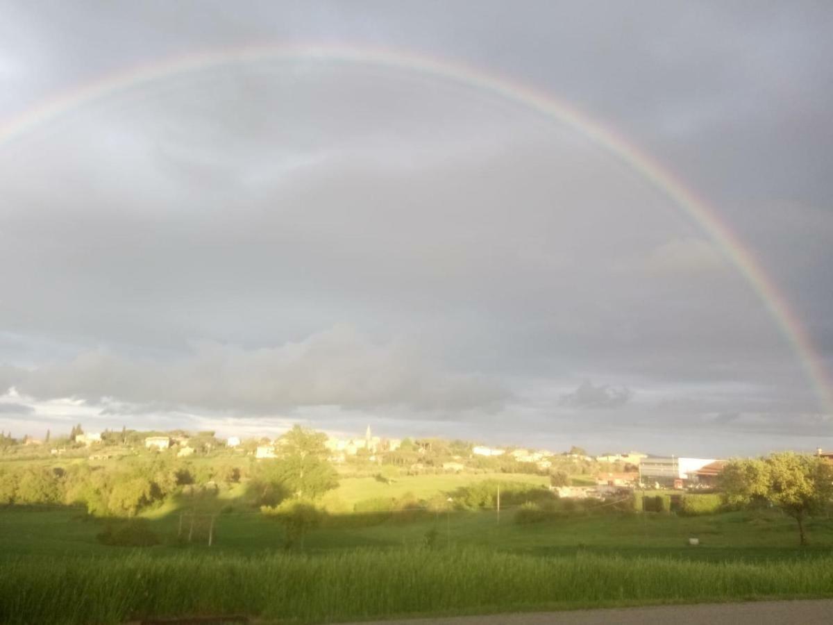 Agriturismo Colle Al Sole Apartment Castiglione del Lago Ngoại thất bức ảnh