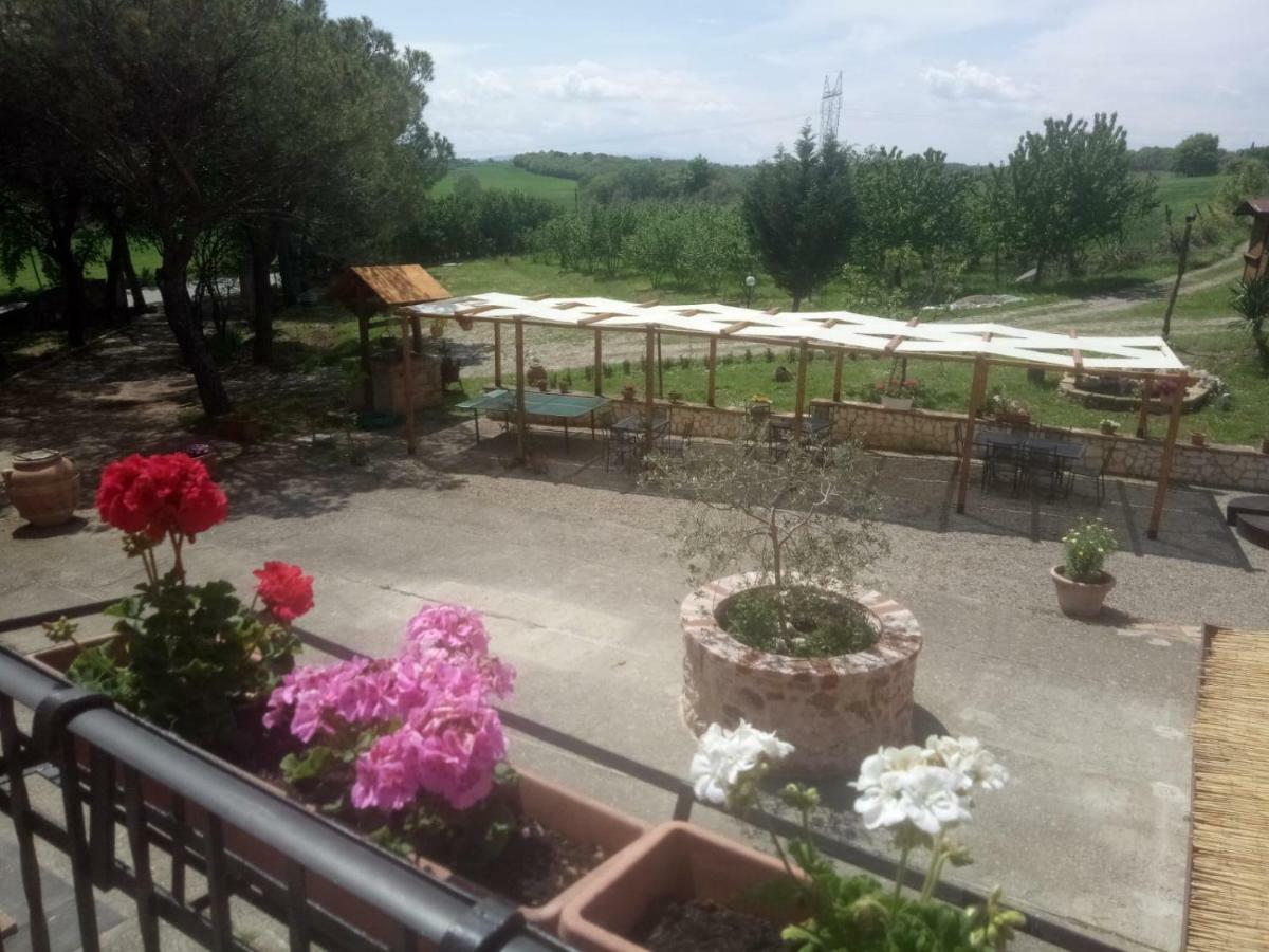 Agriturismo Colle Al Sole Apartment Castiglione del Lago Ngoại thất bức ảnh