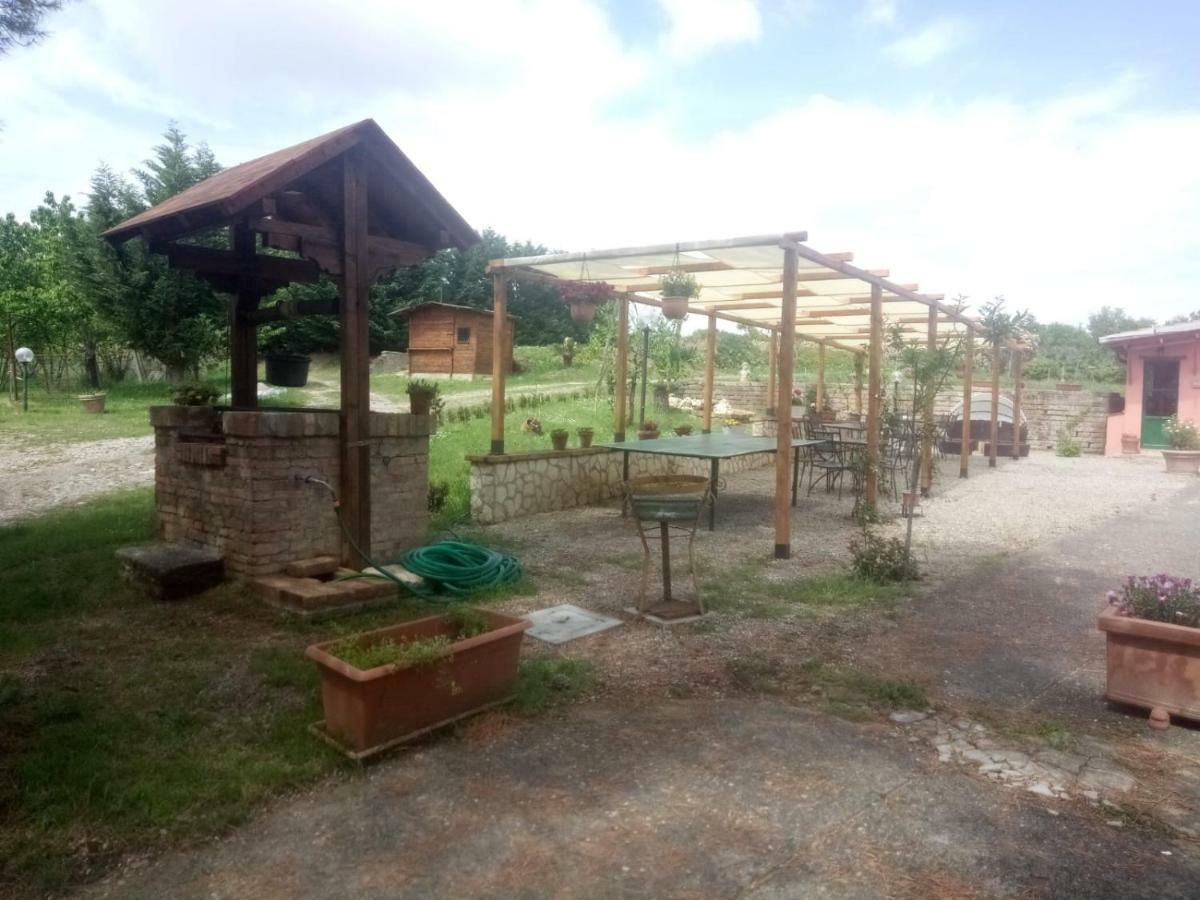 Agriturismo Colle Al Sole Apartment Castiglione del Lago Ngoại thất bức ảnh