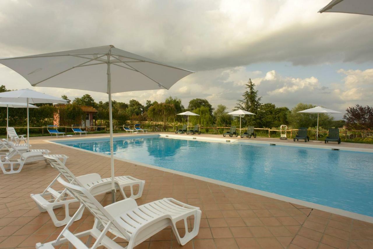 Agriturismo Colle Al Sole Apartment Castiglione del Lago Ngoại thất bức ảnh
