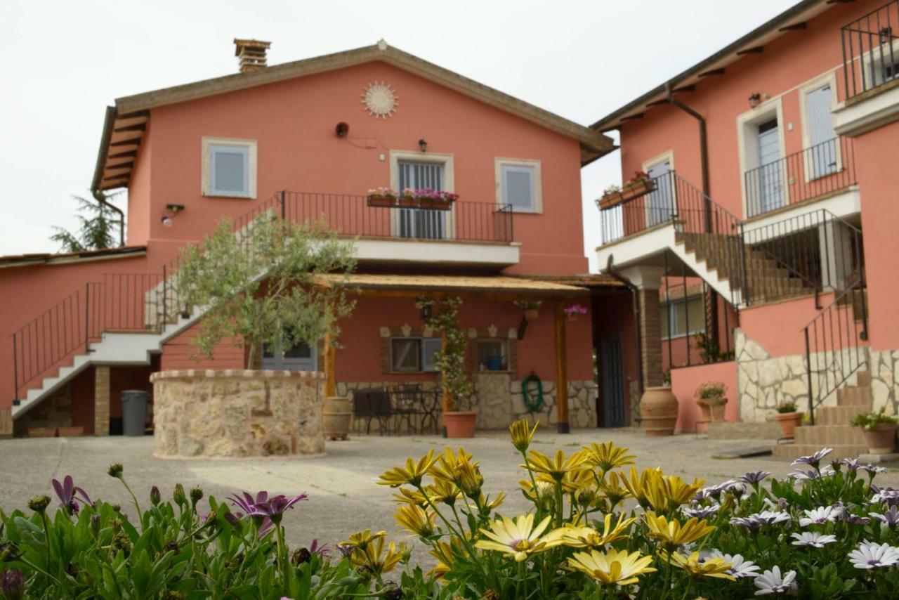 Agriturismo Colle Al Sole Apartment Castiglione del Lago Ngoại thất bức ảnh