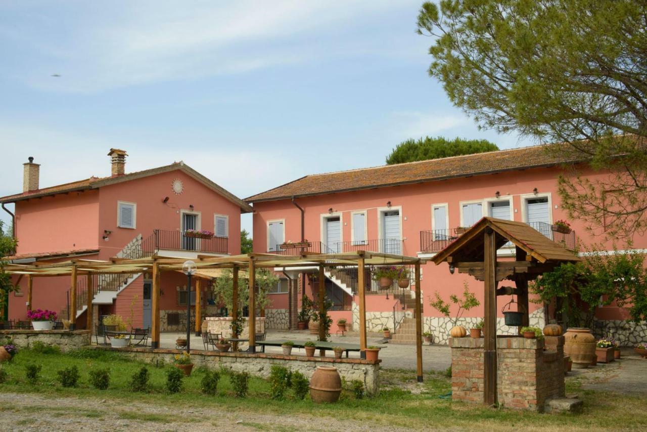Agriturismo Colle Al Sole Apartment Castiglione del Lago Ngoại thất bức ảnh
