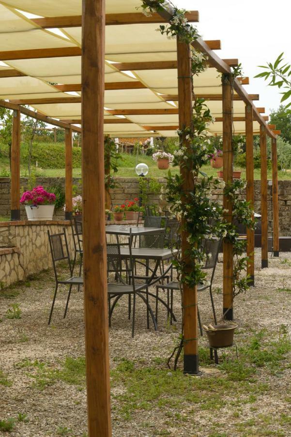 Agriturismo Colle Al Sole Apartment Castiglione del Lago Ngoại thất bức ảnh